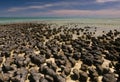 Stromatolite Royalty Free Stock Photo